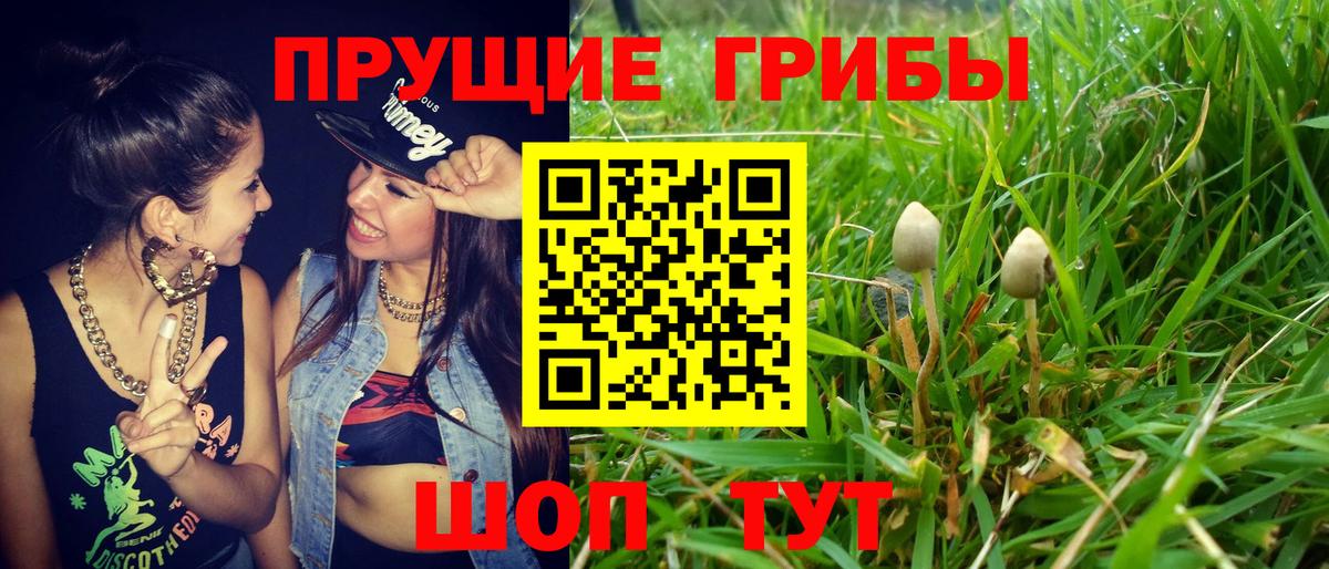 Псилоцибиновые грибы мицелий Ступино