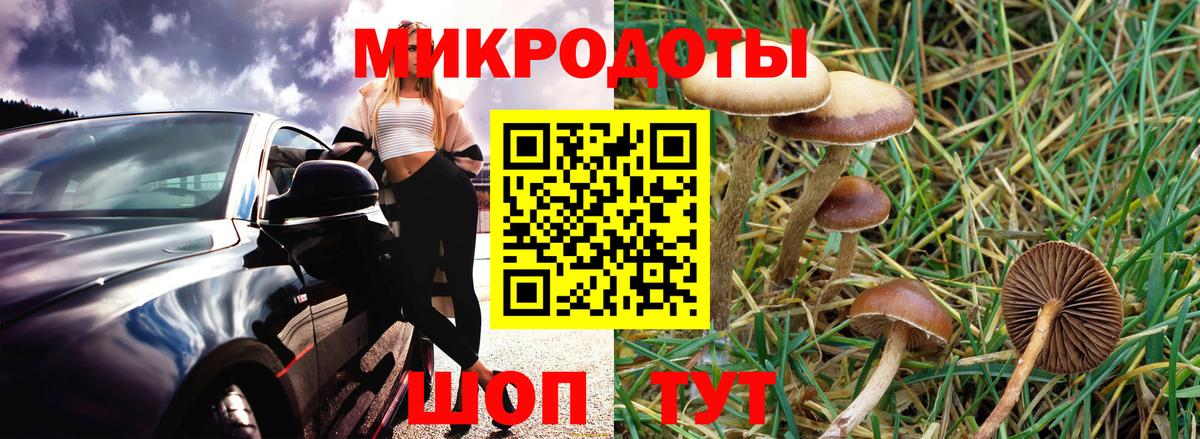 Псилоцибиновые грибы ЛСД  Вход с VPN  наркота  Ступино  Галлюциногенные грибы Magic Shrooms 